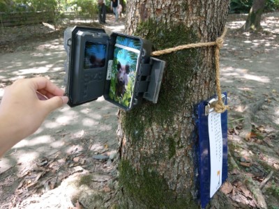 體驗關卡 跟盜伐的山老鼠鬥智找出隱藏在山林的線索